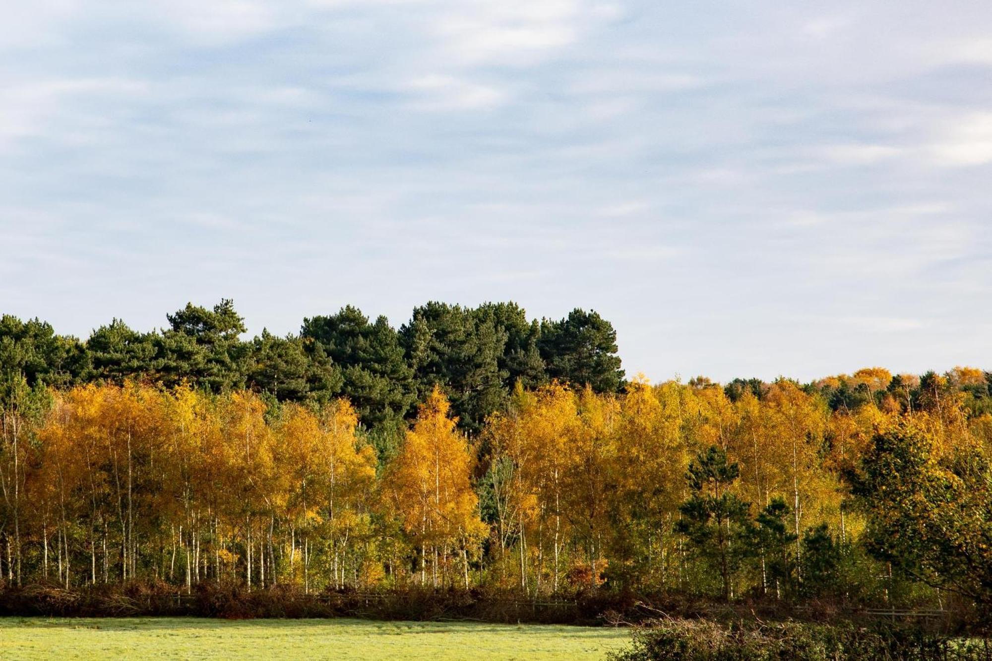 Hotel Crowne Plaza East Midlands Airport By Ihg Derby Esterno foto